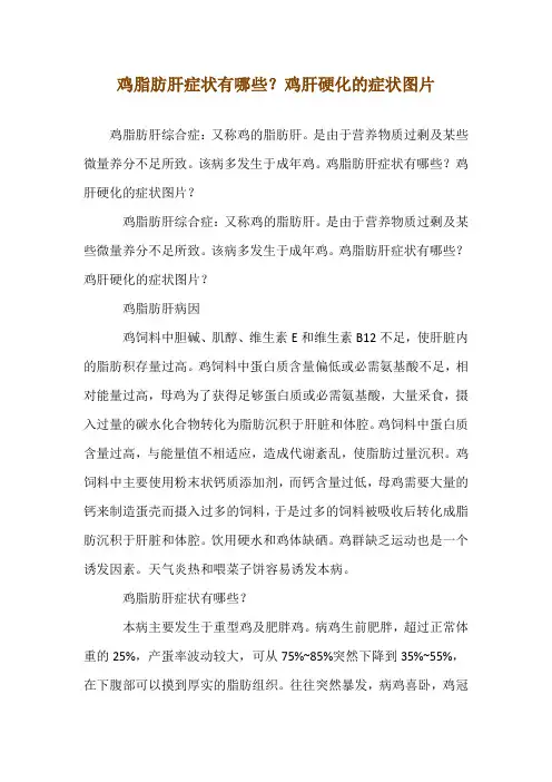 鸡脂肪肝症状有哪些？鸡肝硬化的症状图片