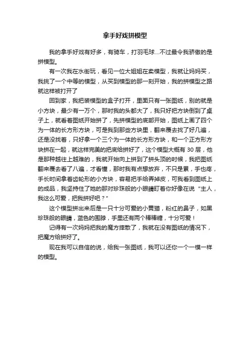 拿手好戏拼模型