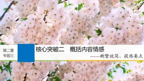 2019版高考语文大一轮复习人教全国版课件：第二章+文学类文本阅读·散文阅读+专题三+核心突破二