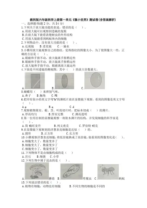 教科版六年级科学上册第一单元《微小世界》测试卷(含答案解析)