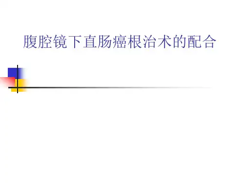 腹腔镜下直肠癌根治术的配合ppt模板