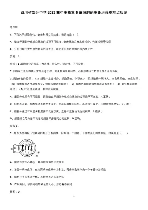 四川省部分中学2023高中生物第6章细胞的生命历程重难点归纳