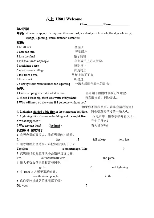 新译林版英语八年级上册第八单元学案