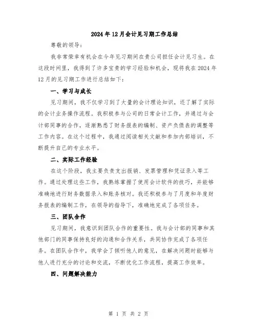 2024年12月会计见习期工作总结