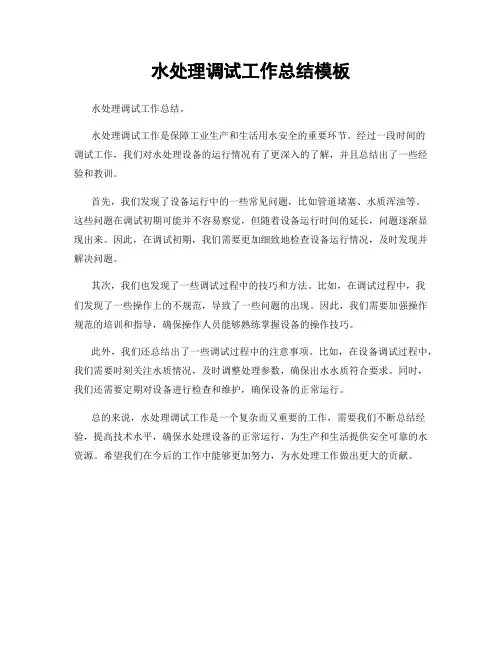 水处理调试工作总结模板