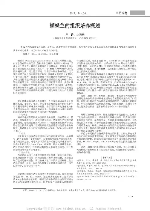 蝴蝶兰的组织培养概述