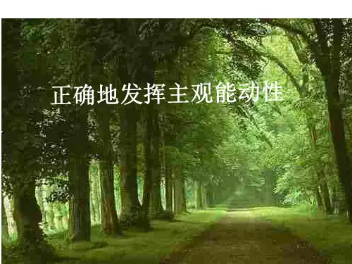 正确地发挥主观能动性优秀课件1