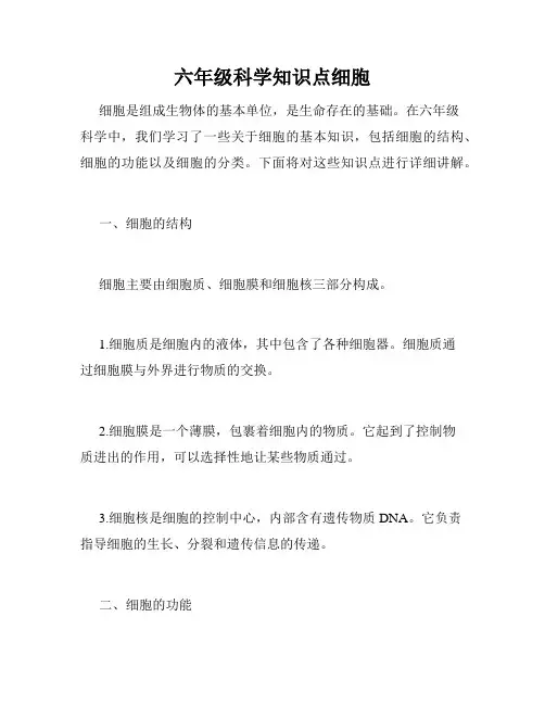 六年级科学知识点细胞