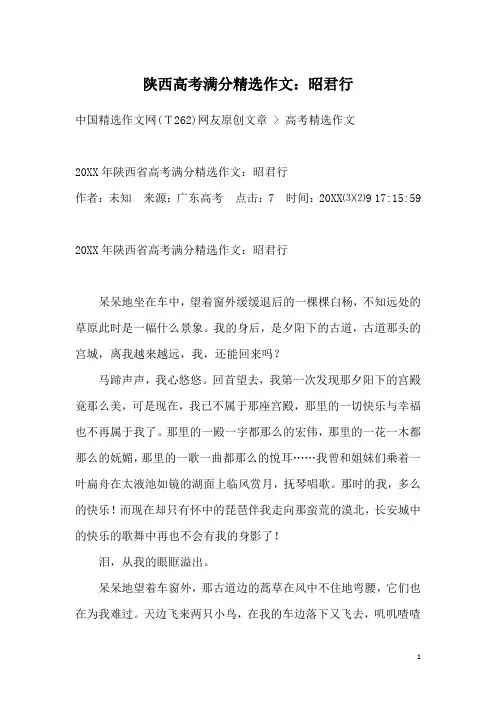 陕西高考满分精选作文：昭君行
