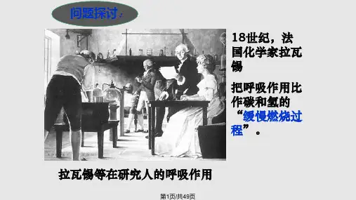 细胞呼吸优质课生物必修一PPT课件