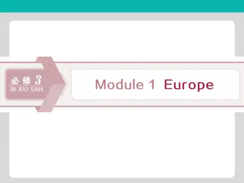 2020版高考英语大一轮复习Module1Europe课件外研版必修3
