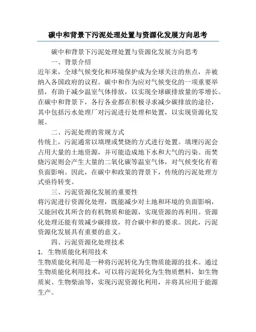 碳中和背景下污泥处理处置与资源化发展方向思考