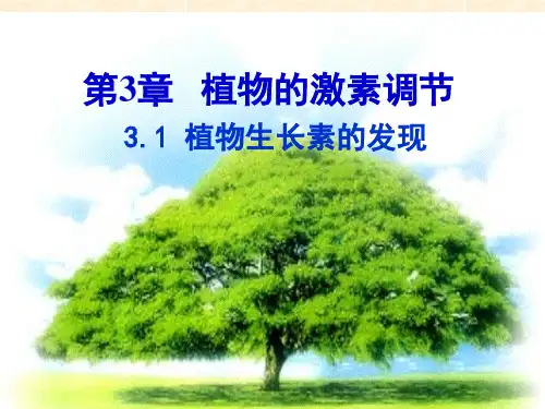 人教版生物必修3第3章第1节 植物生长素的发现