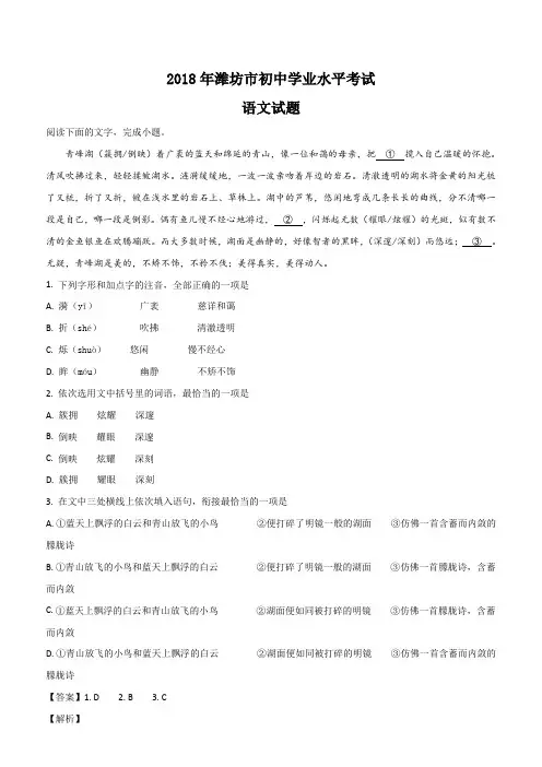 山东省潍坊市2018年中考语文试题及答案解析