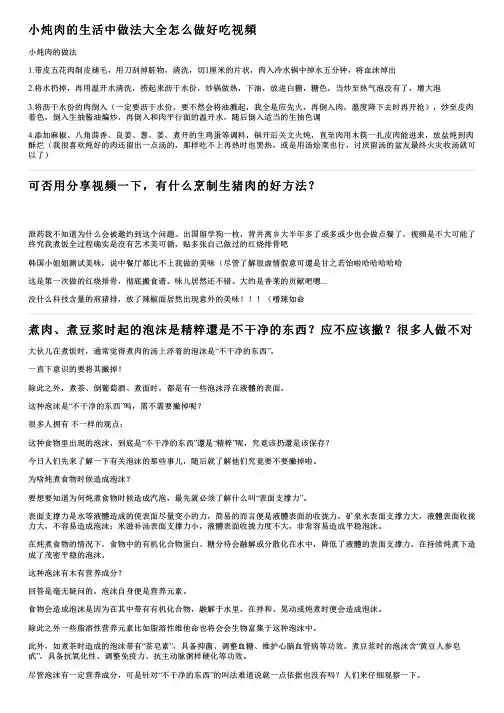 小炖肉的生活中做法大全怎么做好吃视频