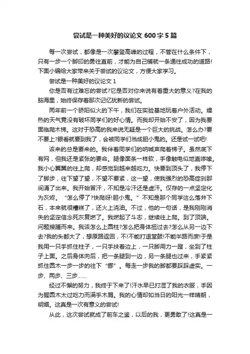 尝试是一种美好的议论文600字5篇