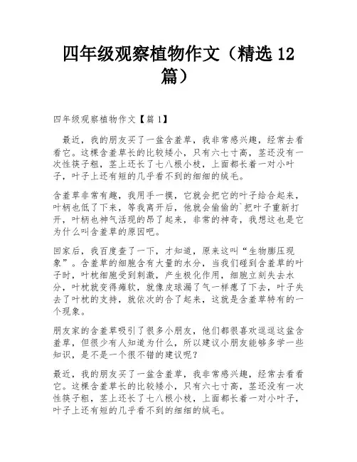 四年级观察植物作文(精选12篇)