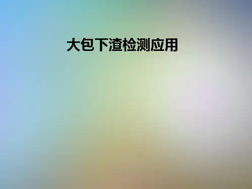 大包下渣检测应用