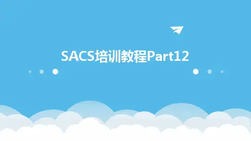 SACS培训教程Part12