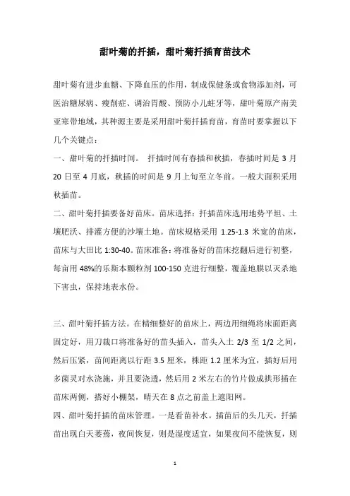 甜叶菊的扦插,甜叶菊扦插育苗技术