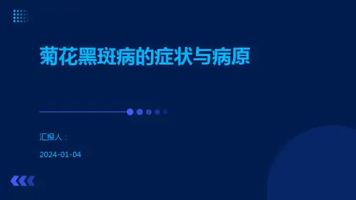 菊花黑斑病的症状与病原
