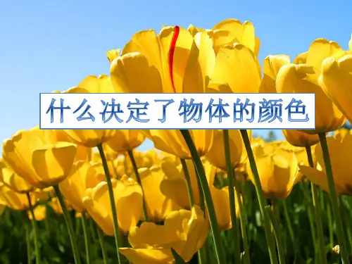什么决定了物体的颜色1