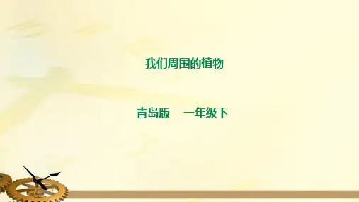 青岛版小学科学一年级下册 我们周围的植物