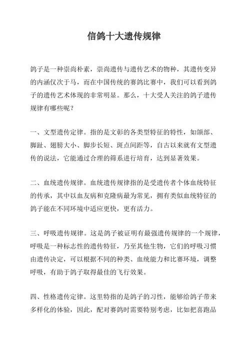 信鸽十大遗传规律