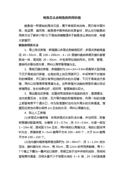 鲍鱼怎么养鲍鱼的药用价值