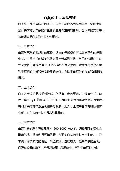 白茶的生长条件要求