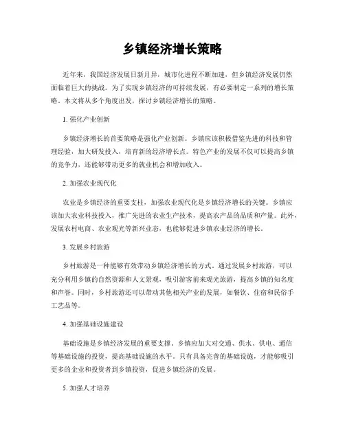 乡镇经济增长策略