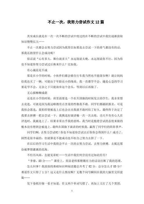 不止一次,我努力尝试作文12篇范文精选