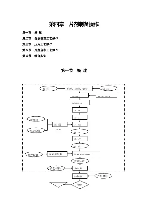 第二讲药物制剂技术实训教程