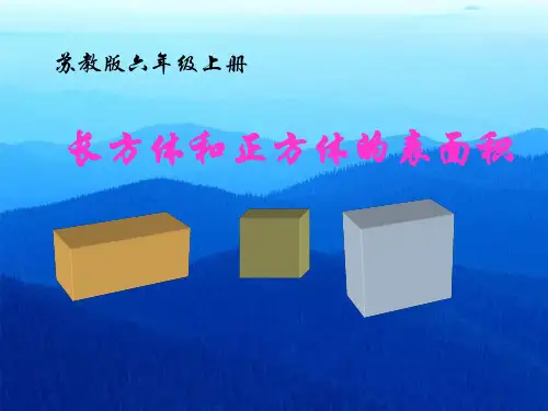 六年级数学上册课件-1.3长方体和正方体的表面积 - 苏教版(共18张PPT)