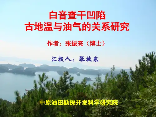 成藏会议演讲稿(张放东)