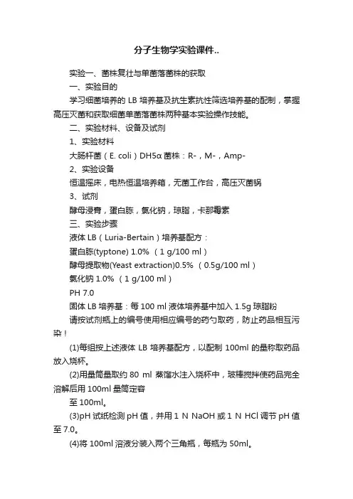 分子生物学实验课件..