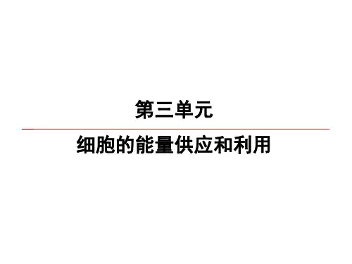2020高考生物一轮复习课件：第3单元 第1讲 酶和ATP