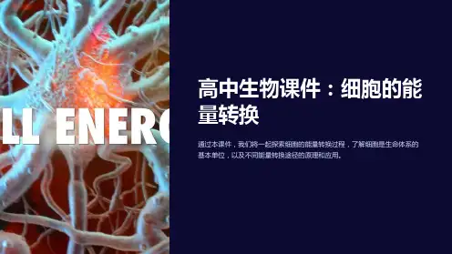 《高中生物课件：细胞的能量转换》
