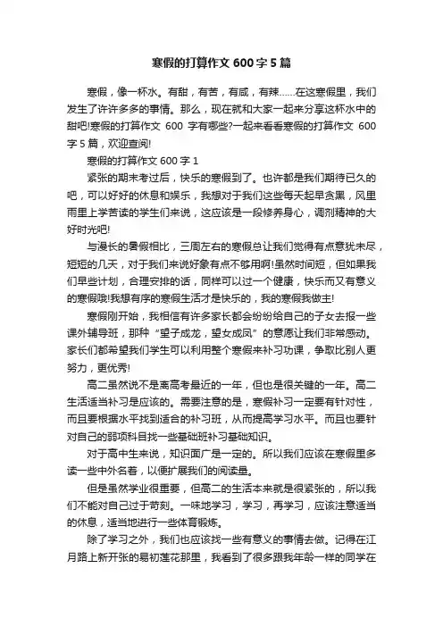 寒假的打算作文600字5篇