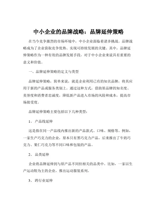 中小企业的品牌战略：品牌延伸策略