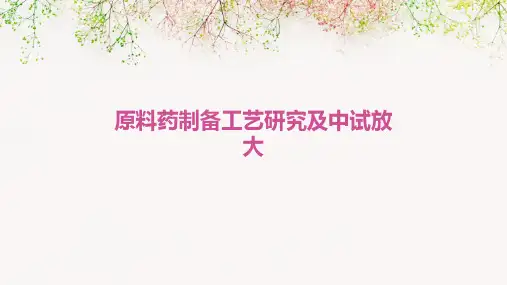 原料药制备工艺研究及中试放大PPT