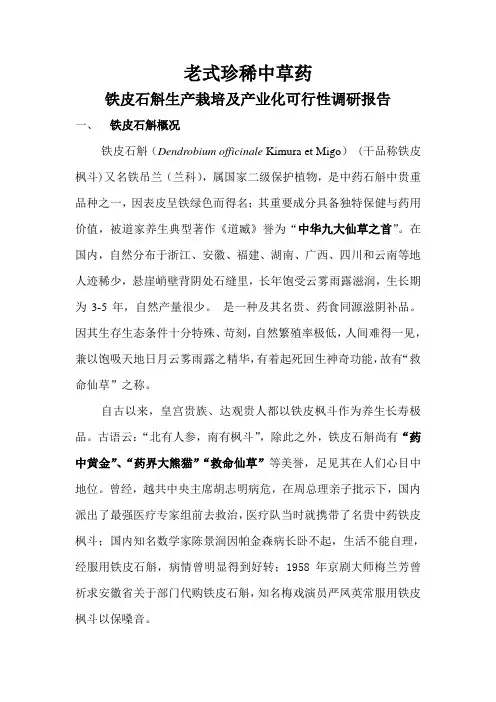 铁皮石斛生产栽培及产业化可行性调研报告样本