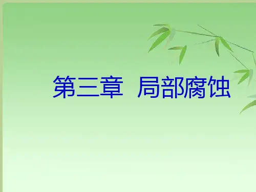 [化学]第三章 电化学局部腐蚀