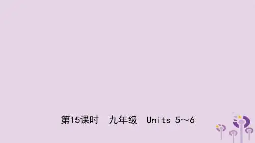 山东省菏泽市2019年初中英语学业水平考试总复习第15课时九全Units5_6课件20190117360