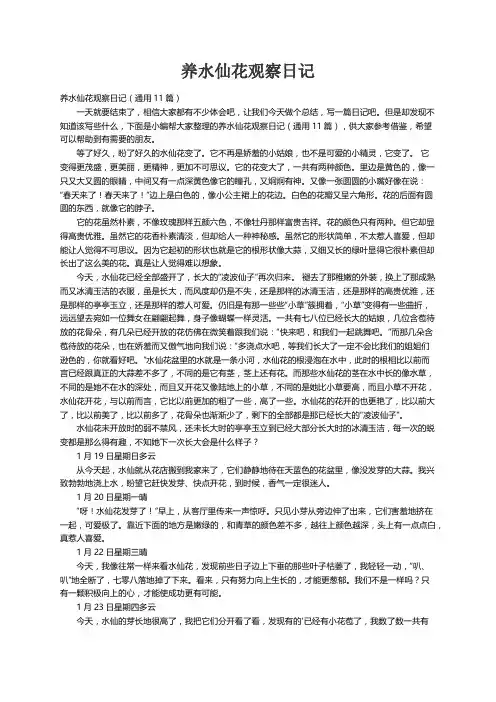 养水仙花观察日记（通用11篇）