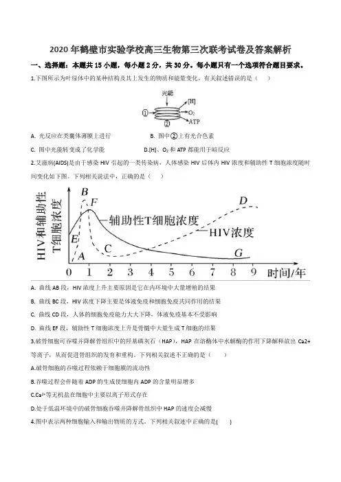 2020年鹤壁市实验学校高三生物第三次联考试卷及答案解析