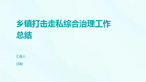 乡镇打击走私综合治理工作总结