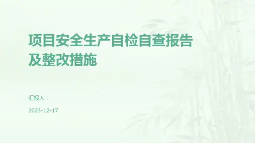 项目安全生产自检自查报告及整改措施