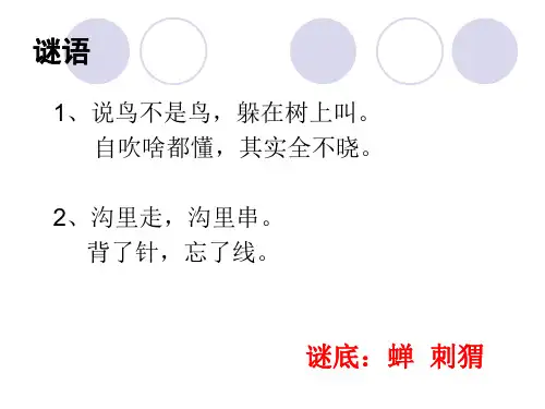 《蝉》公开课PPT