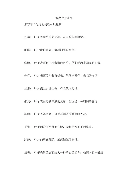 形容叶子光滑